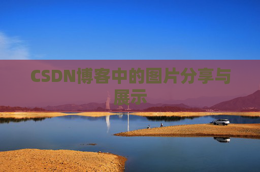 CSDN博客中的图片分享与展示